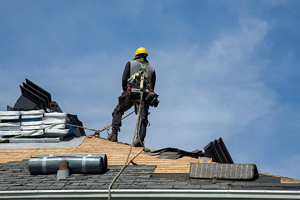 Professional Roof Replacement technician working in Ford Cliff, PA